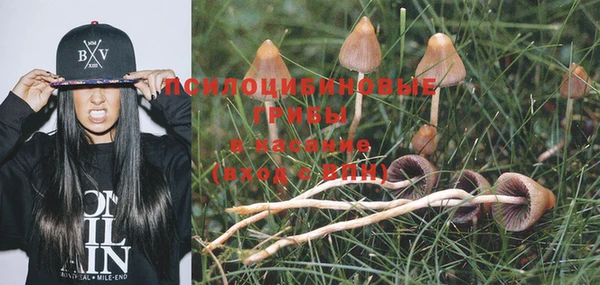 индика Белоозёрский