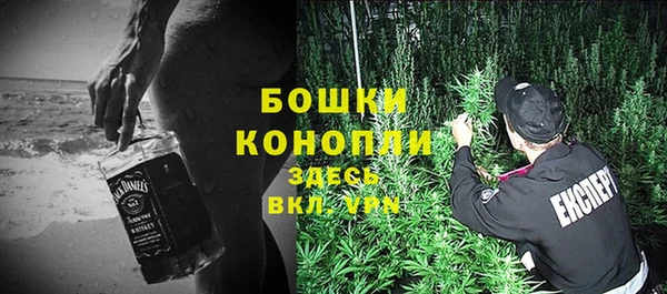 индика Белоозёрский