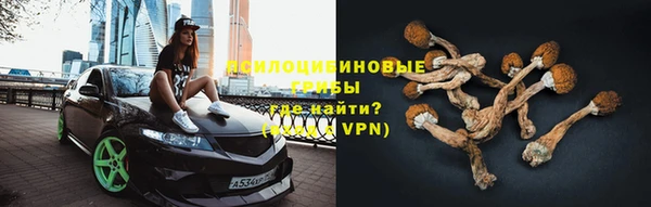 индика Белоозёрский