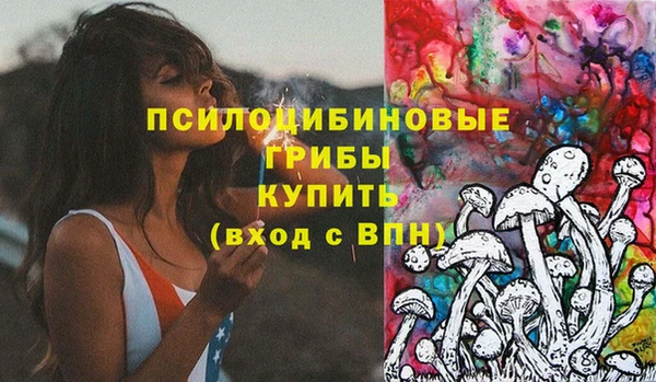 индика Белоозёрский
