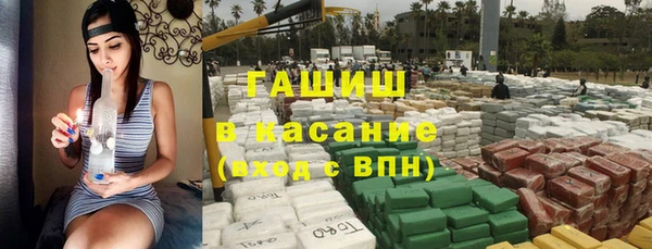 индика Белоозёрский
