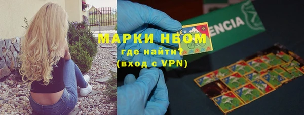 индика Белоозёрский